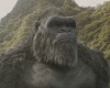 Godzilla vs Kong - visual effects by Weta Digital