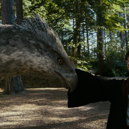 Buckbeak the Hippogriff, from "Harry Potter and the Prisoner of Azkaban"