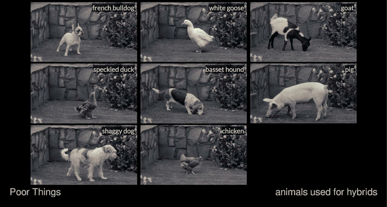 Simon Hughes, creative director, Union VFX